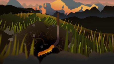 ​冬虫夏草究竟是虫还是草？它真有药用价值吗？带你看大骗局的始终