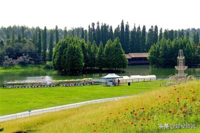 ​锦绣蓉城，精彩版图之龙泉驿区