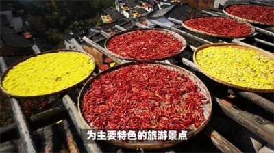 婺源篁岭景区介绍