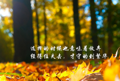 小雪节气早安温暖问候语说说大全 小雪早安正能量励志文案句子