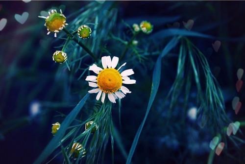 2026年霸气微信网名(精选86个) 2026年霸气微信网名(精选86个)