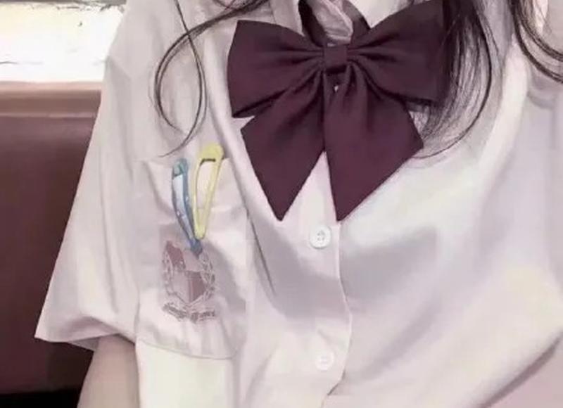 出世的智慧,入世的手段 出世的智慧,入世的手段