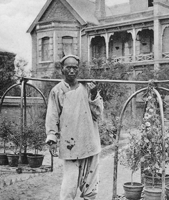 家务活图片,帮忙父母做家务的照片图5