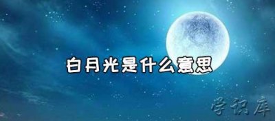 ​白月光是什么意思，白月光的含义