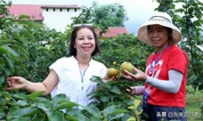 ​越南老街省发挥优势 迎接旅游新趋势