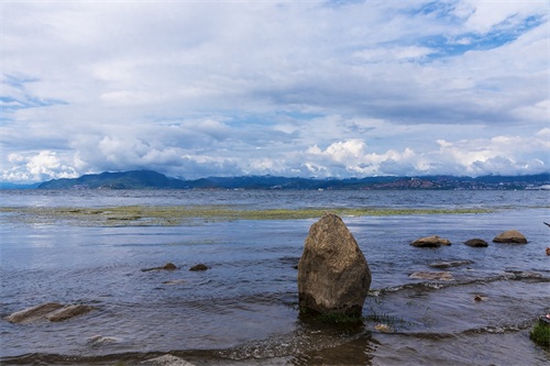 旅途见闻—云南（大理-洱海月湿地公园）