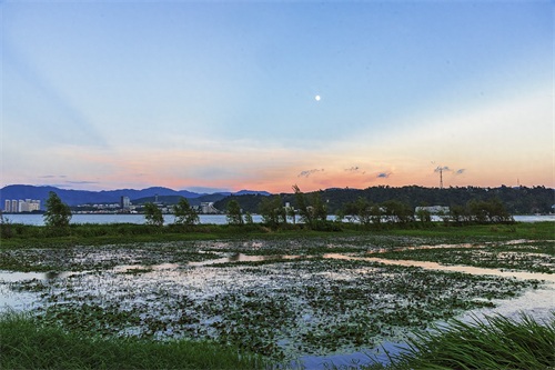 旅途见闻—云南（大理-洱海月湿地公园）
