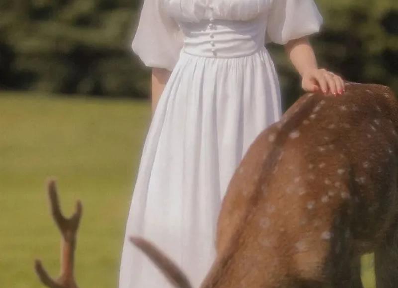 明星大侦探张若昀（张新成张若昀表现突出）