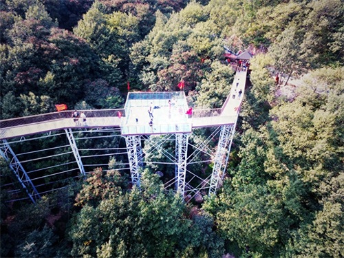 登封山水画廊摘星楼景区游记之二，树顶漫步一个超级炫酷炫的创意