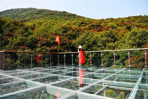 登封山水画廊摘星楼景区游记之二，树顶漫步一个超级炫酷炫的创意