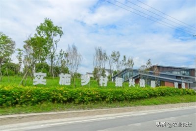 ​2022非转农户口的最新政策：需要哪些条件？能不能得到征地补偿款