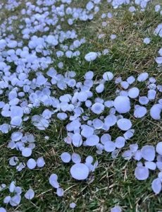 ​长沙湘潭突降冰雹！多个市州还有暴雨！湖南多地连发81条预警