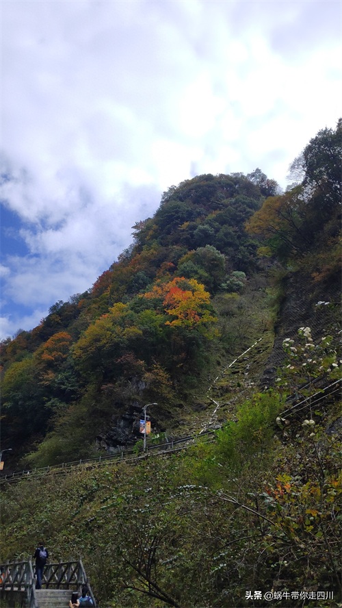 天全喇叭河，不容错过的川西彩林，层林尽染，金秋周末游推荐