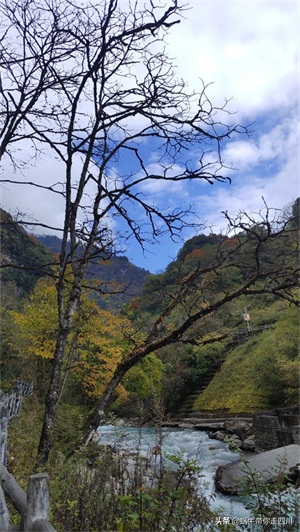 天全喇叭河，不容错过的川西彩林，层林尽染，金秋周末游推荐
