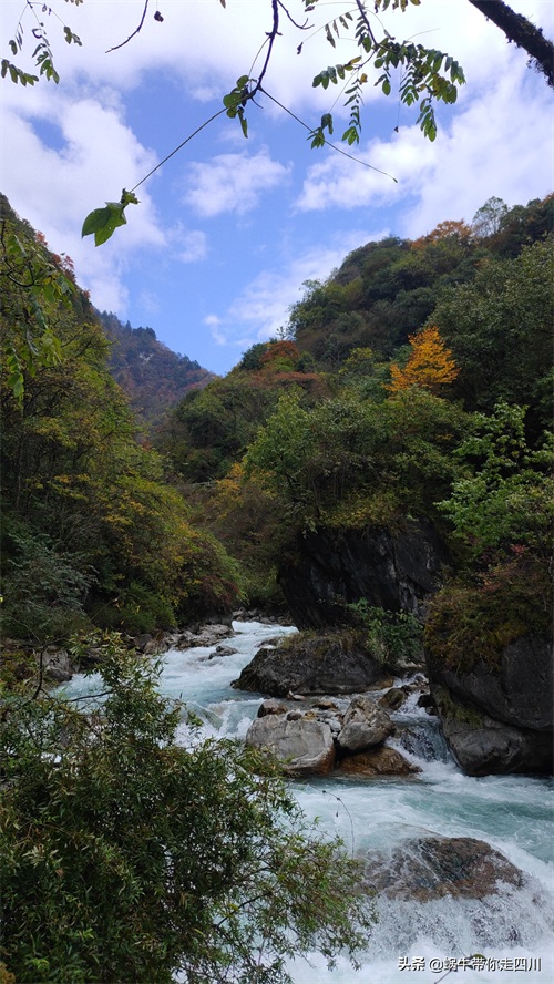 天全喇叭河，不容错过的川西彩林，层林尽染，金秋周末游推荐