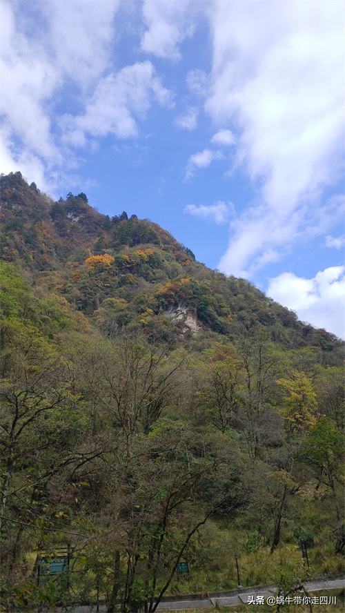 天全喇叭河，不容错过的川西彩林，层林尽染，金秋周末游推荐