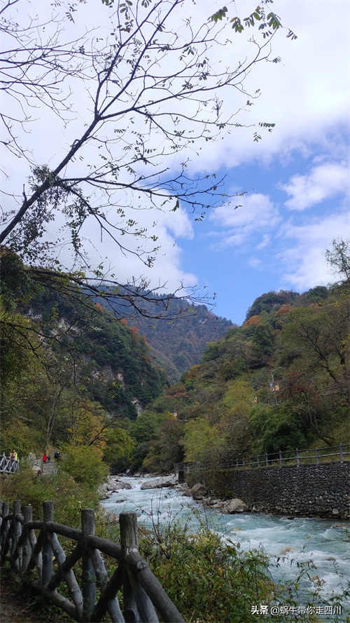 天全喇叭河，不容错过的川西彩林，层林尽染，金秋周末游推荐