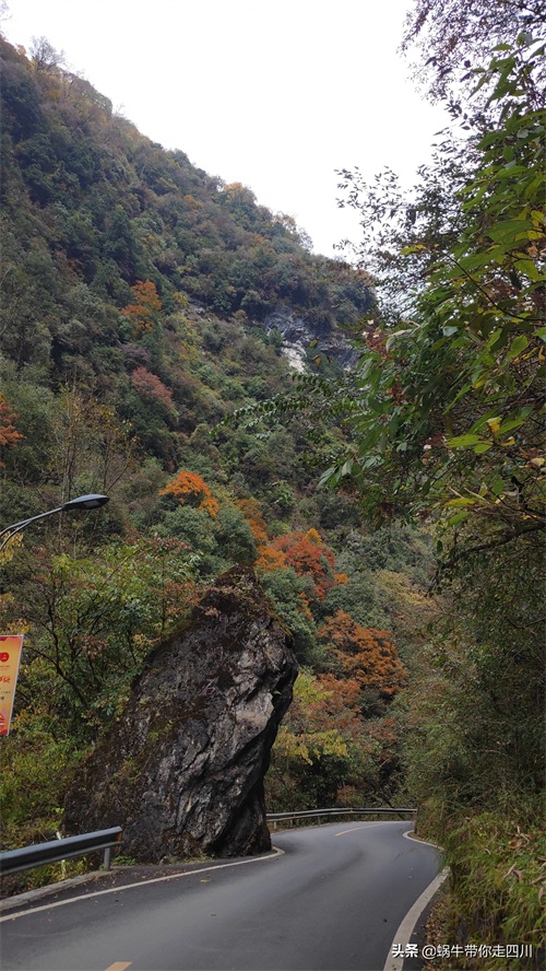 天全喇叭河，不容错过的川西彩林，层林尽染，金秋周末游推荐