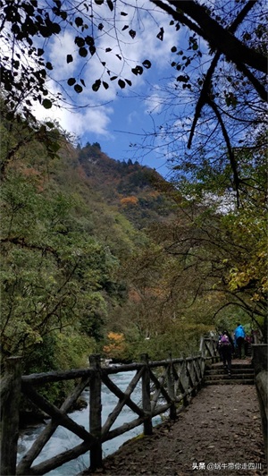 天全喇叭河，不容错过的川西彩林，层林尽染，金秋周末游推荐