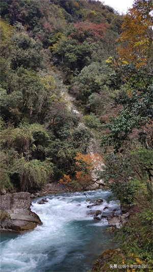 天全喇叭河，不容错过的川西彩林，层林尽染，金秋周末游推荐