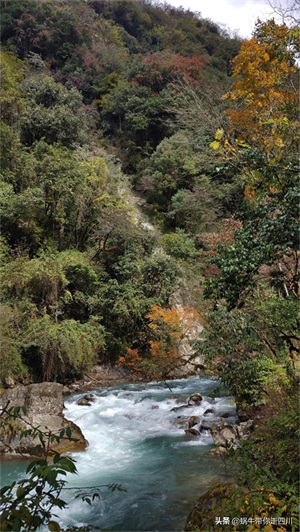 天全喇叭河，不容错过的川西彩林，层林尽染，金秋周末游推荐