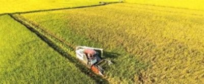 广东龙川:打造“农业强、农村美、农民富”的农业强县