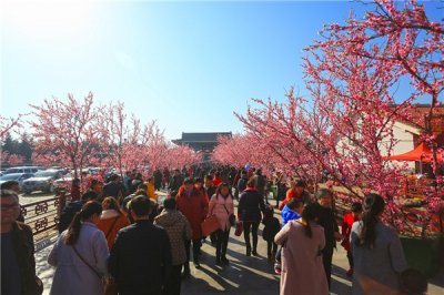 大年初一,万岁山春节大庙会人潮涌动,火爆开场!