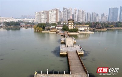 ​从大片鱼塘变身为生态景观公园，我见证着长沙月湖公园的华丽蜕变