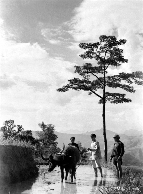 60年前，世世代代过着原始生活的苦聪人直接过上了社会主义生活