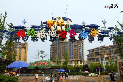 青岛海昌极地海洋世界,梦幻一日