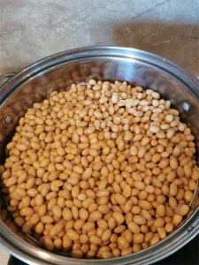 ​自制黄豆酱 传统发酵 捂豆子详细步骤