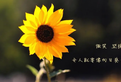 ​初中作文评语简短