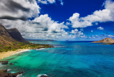 ​描写锦鲤的小学生作文