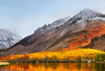 ​明月初升的小学生作文