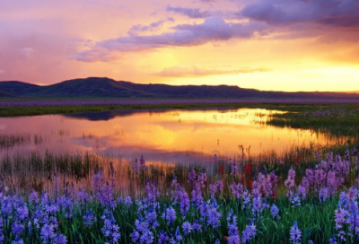 ​以牙还牙的后果_小学生作文