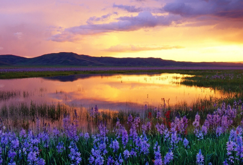 1710000431141710.png image.png