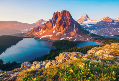 ​发生在校园里难忘的一件事小学优秀作文