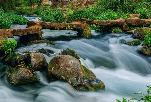 1710001261166895.png image.png