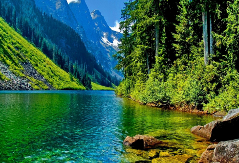 1710002258837164.png image.png