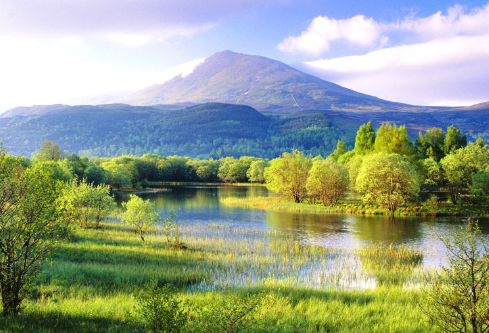 1710013009473188.png image.png