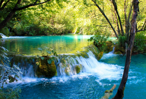 1710013174115652.png image.png