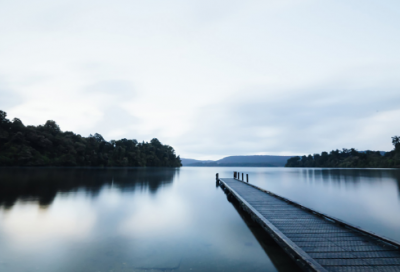 心灵的沉淀小学作文