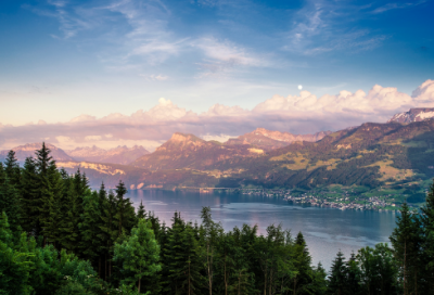 亲人的离别小学作文