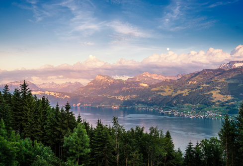 1710030940167169.png image.png