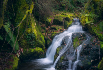 去吃肯德基小学作文