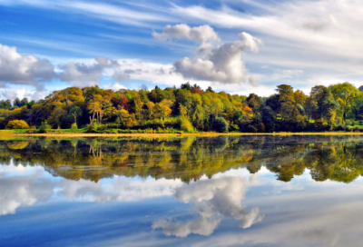 小学体育达标测试标准赛作文
