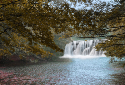 有趣的抢椅子比赛小学生作文