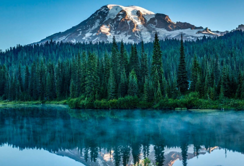 1710032102732365.png image.png