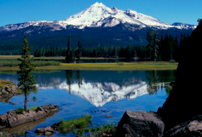 大肠杆菌的自述小学生作文