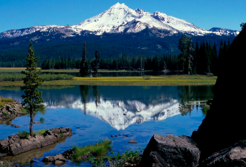 1710032269618742.png image.png